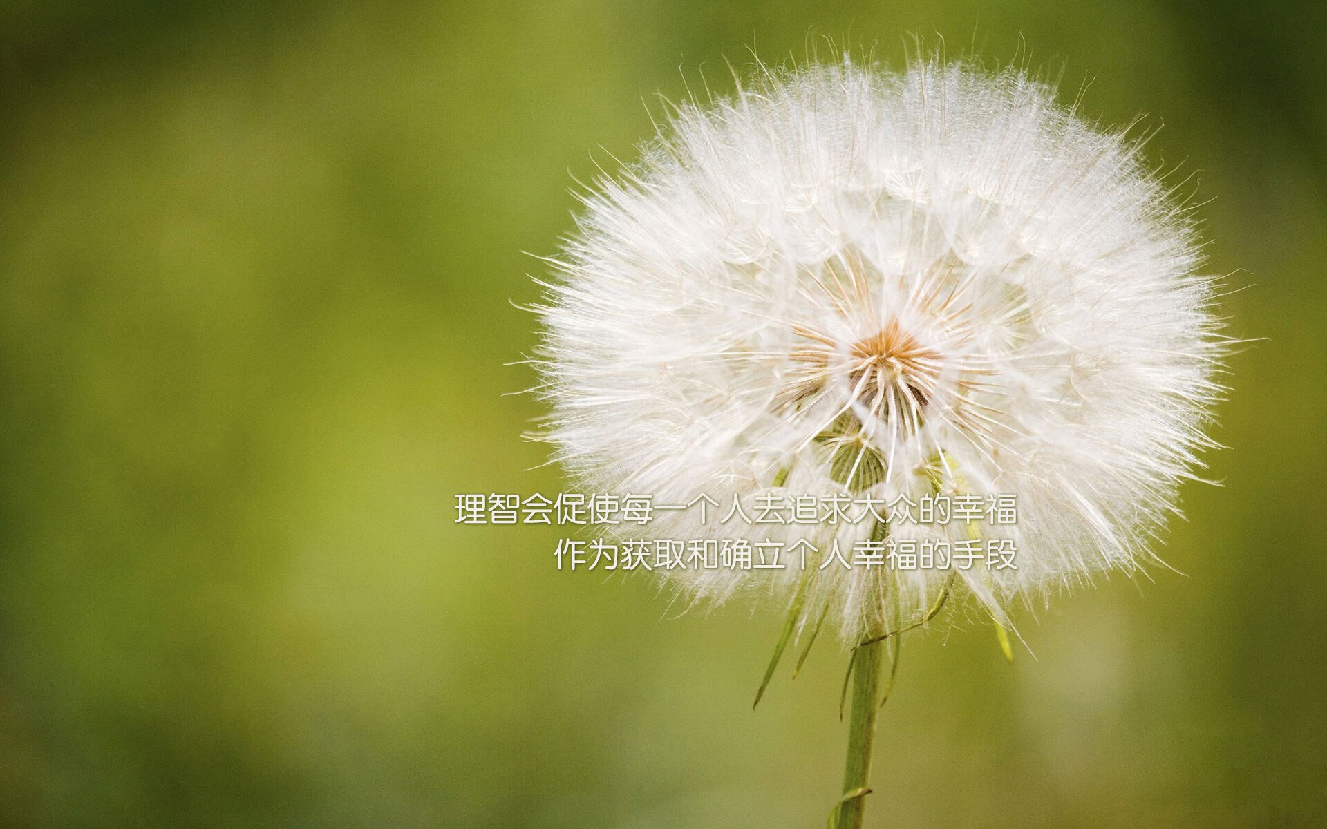 开云官方-【丁俊晖全传】从青涩少年到世界第一的成长历程，丁俊晖成长经历视频