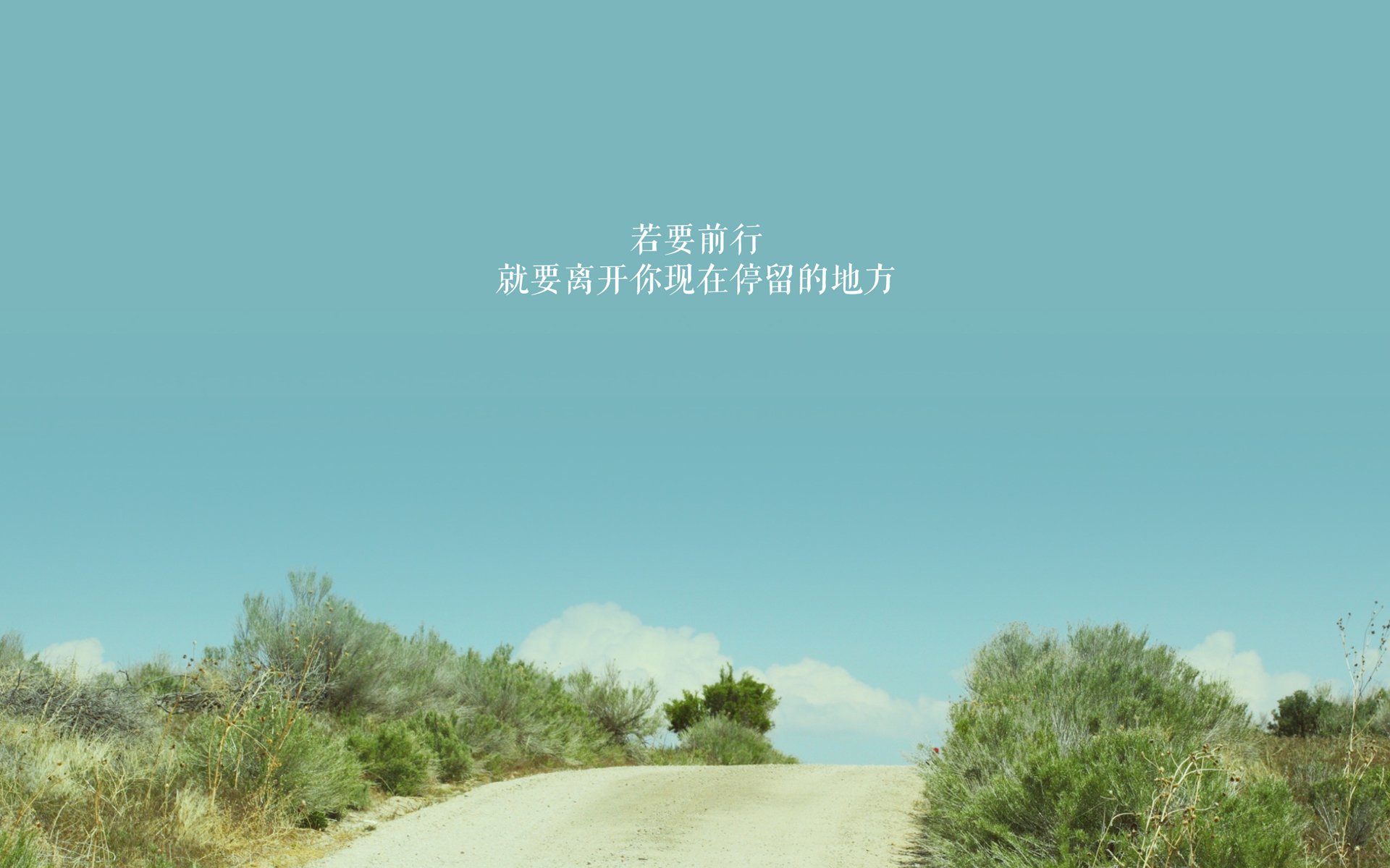 全明星周末：明星投篮与扣篮比赛精彩纷呈，nba明星投篮动作