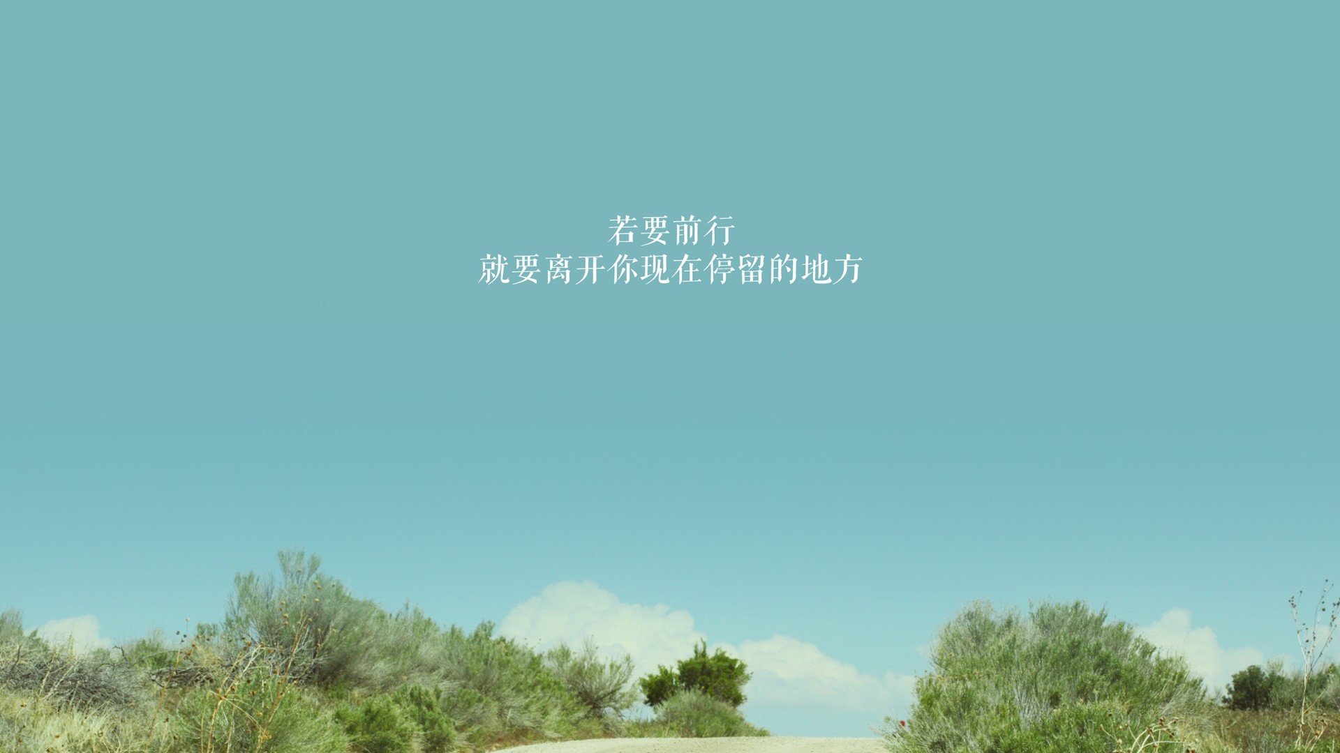外国足球友谊赛，文化交流新平台，外国足球联赛