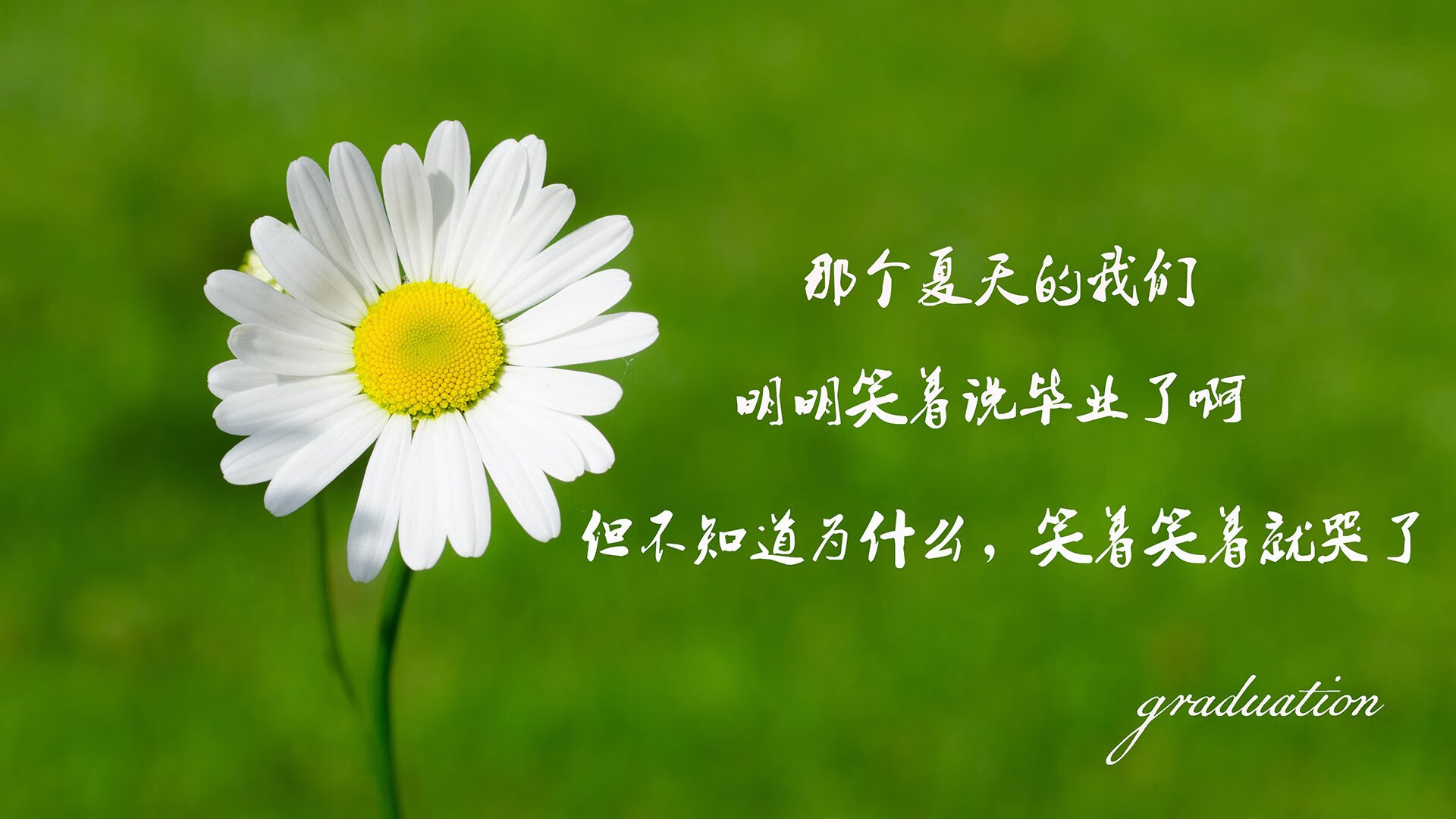 球队荣誉：谁将问鼎本赛季总冠军？，球队总冠军排行榜