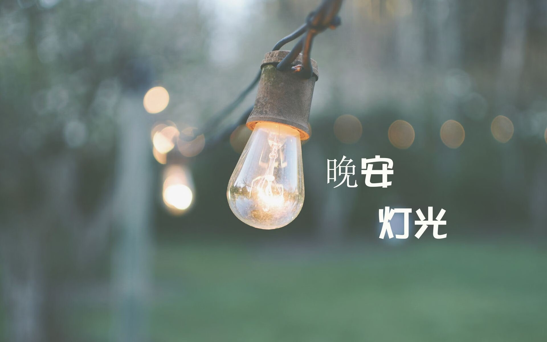 Aster积分排名领先赛区，algs预选赛积分