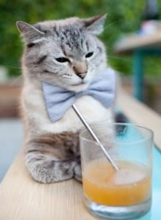 中国篮球职业联赛赛事直播与互动技术创新,中国3×3篮球联赛