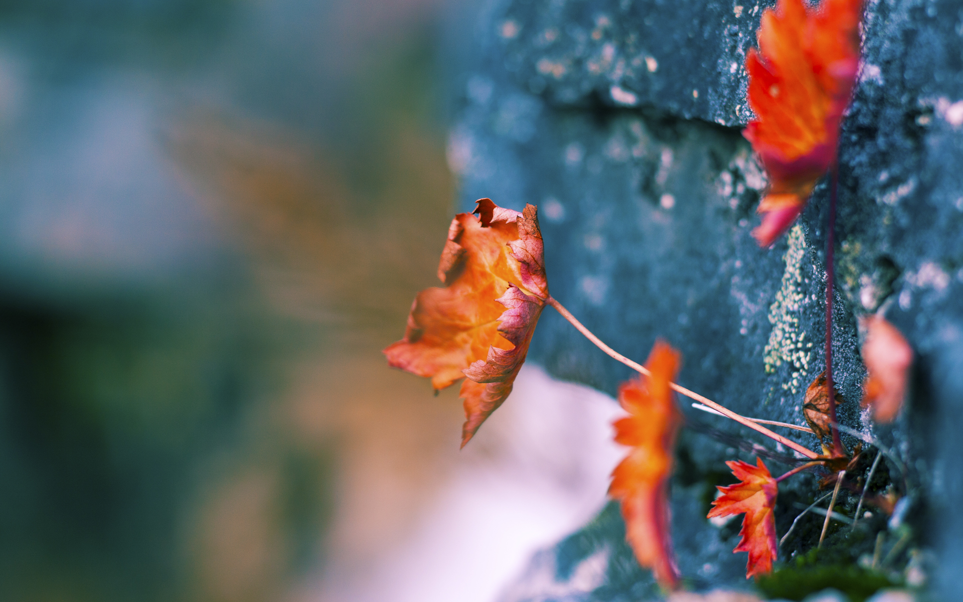 埃及赛制发展：为年轻选手提供更多比赛机会，埃及公开赛