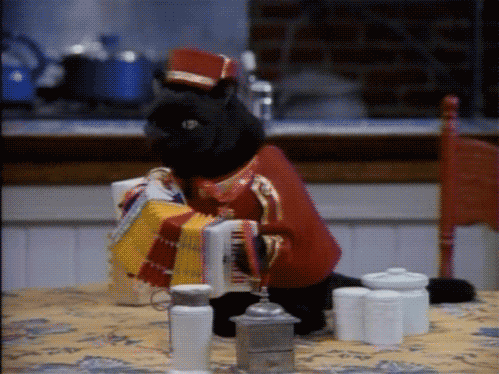 开云网站-年轻选手发力 美队阵容更立体，美队颜值巅峰