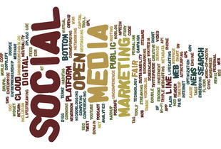 kaiyun.com-新加坡队赛制解析：如何借助赛制优化提高整体协作，新加坡邀请赛赛程