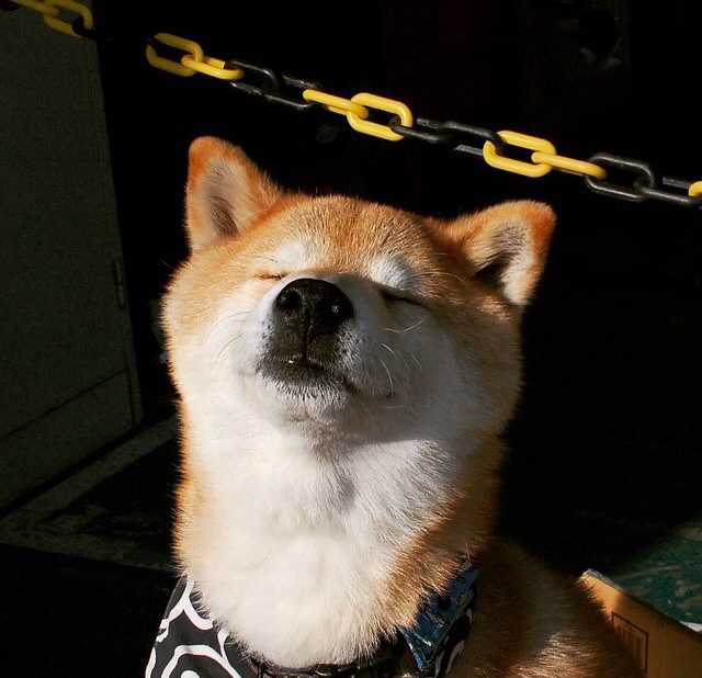 安东·李恩:他为全黑队创造了无数进攻机会,突破与传球无一不精