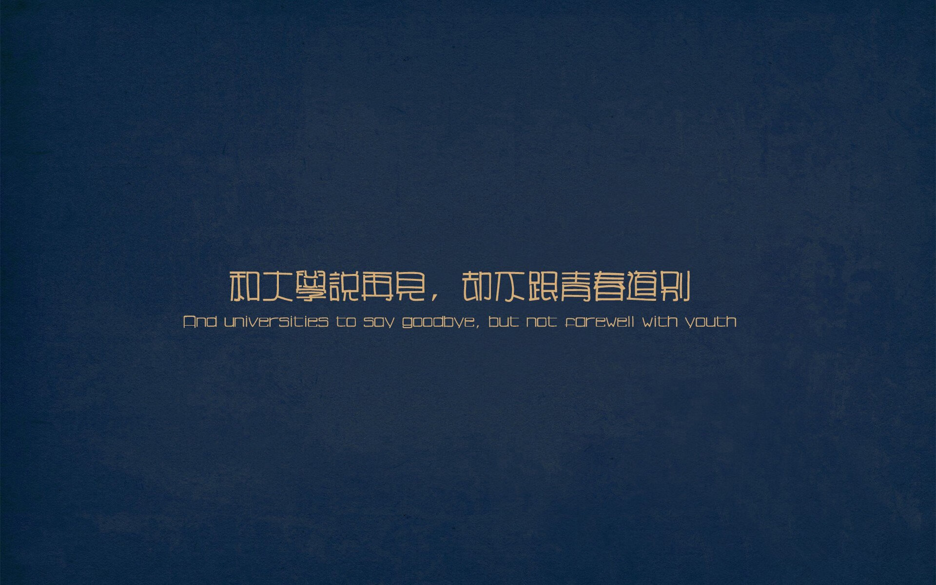 张伟丽赛前称将全力以赴拼到底,张伟丽比赛视频中文解说