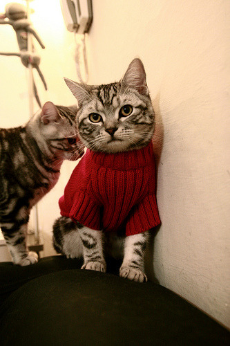 开云中国大陆-维尔·冯·威克：南非队攻击阵中的独立突破者，轻松突破敌人防线