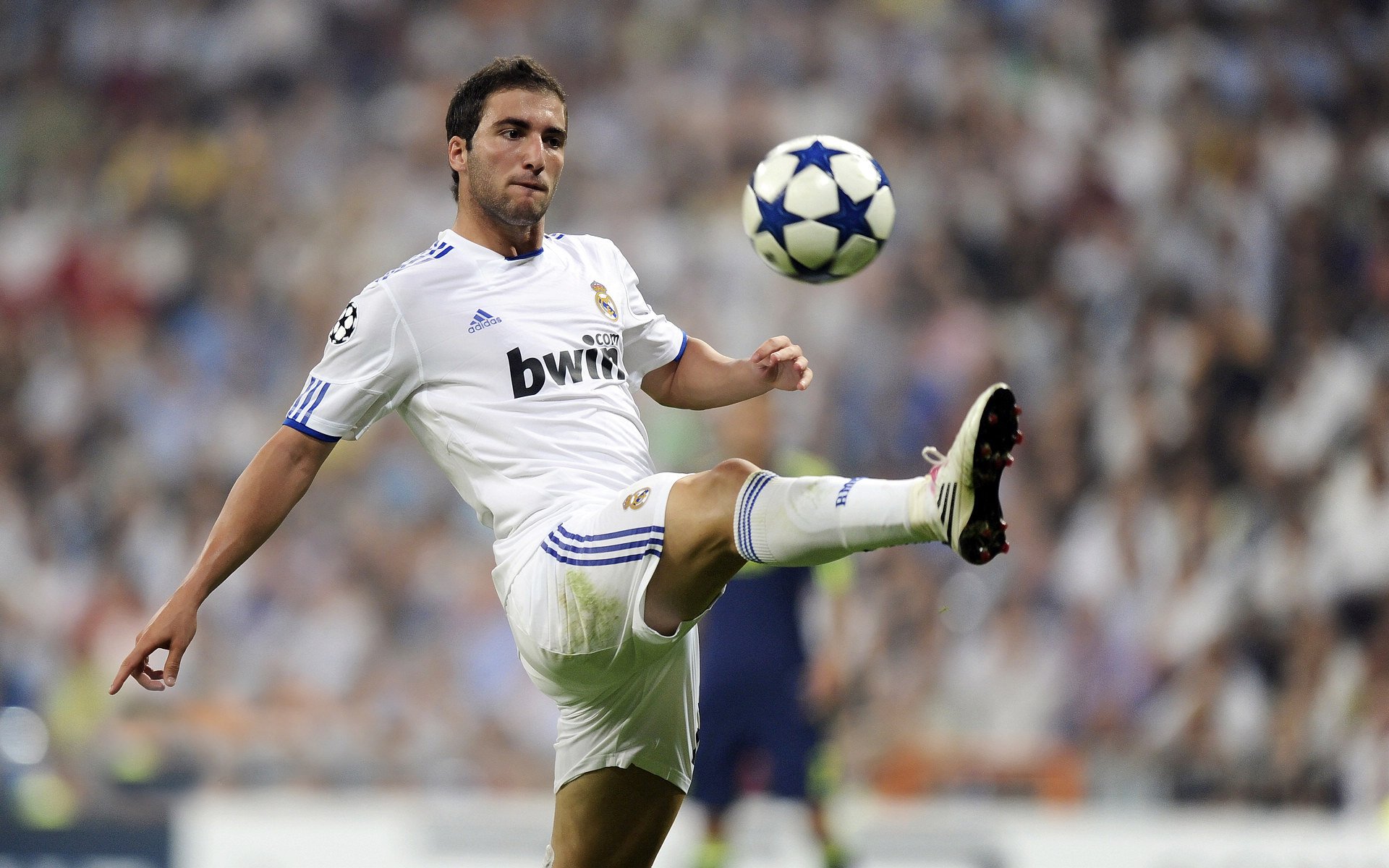 《女性电竞崭露头角：赛场精彩不断》，女子电竞什么意思